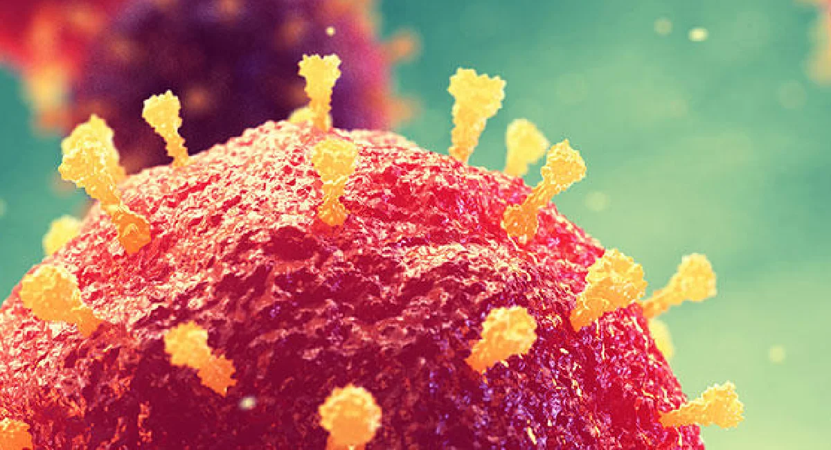 Coronavirus que es